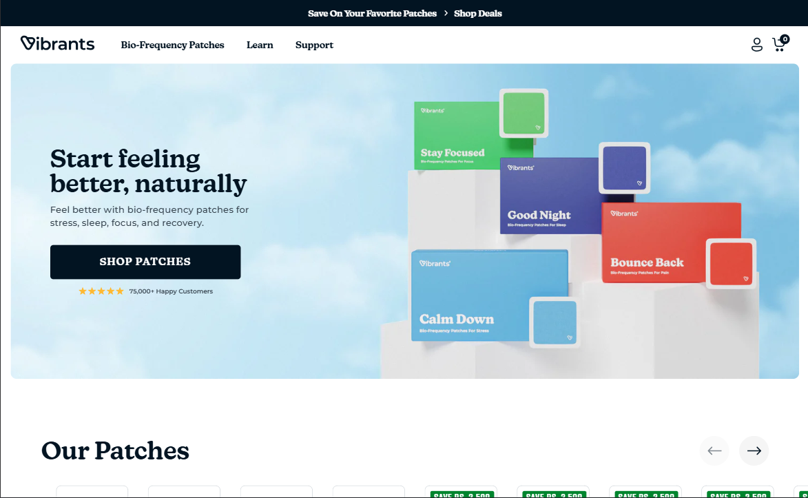 branding agency lucknow — Vibrants animated brand website design